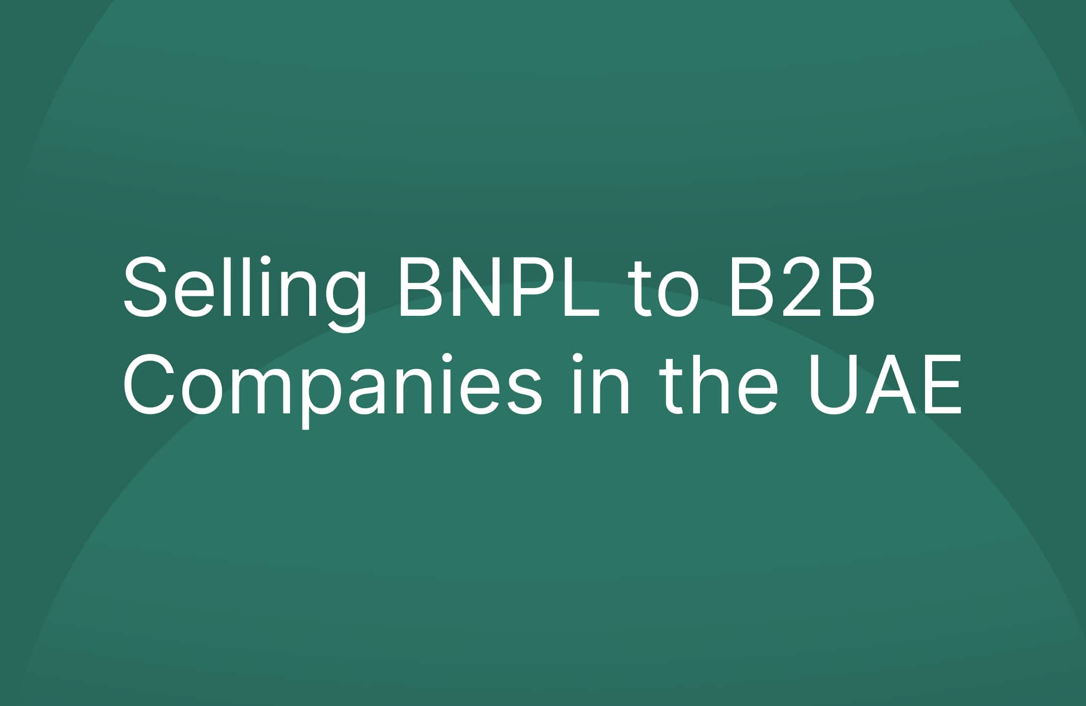 Selling Buy Now, Pay Later (BNPL) to B2B Companies in the UAE